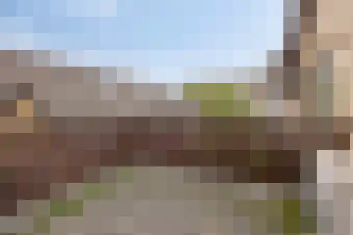 Waldhoornlaan 29 Etten-Leur thumbnail 25