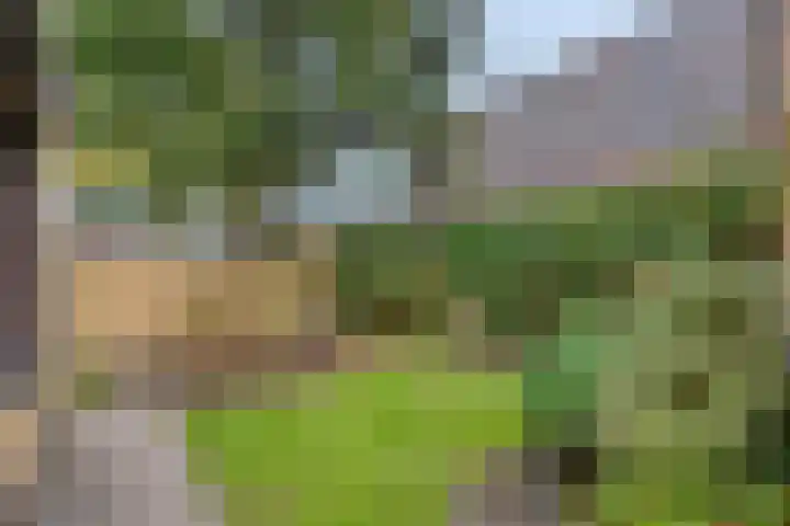Waldhoornlaan 29 Etten-Leur thumbnail 30