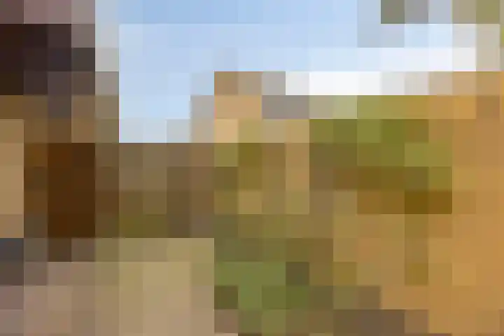 Waldhoornlaan 29 Etten-Leur thumbnail 32