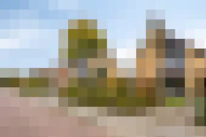 Waldhoornlaan 29 Etten-Leur thumbnail 38