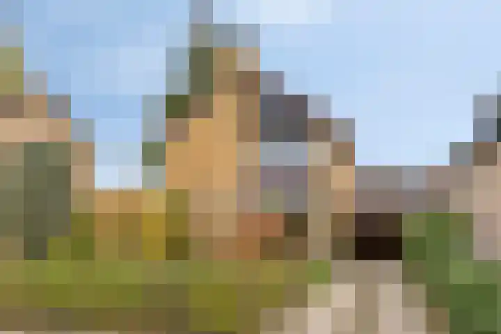 Waldhoornlaan 29 Etten-Leur thumbnail 40