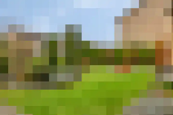 Waldhoornlaan 29 Etten-Leur thumbnail 41