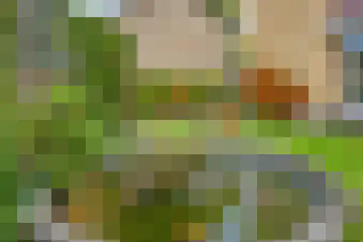 Waldhoornlaan 29 Etten-Leur thumbnail 42
