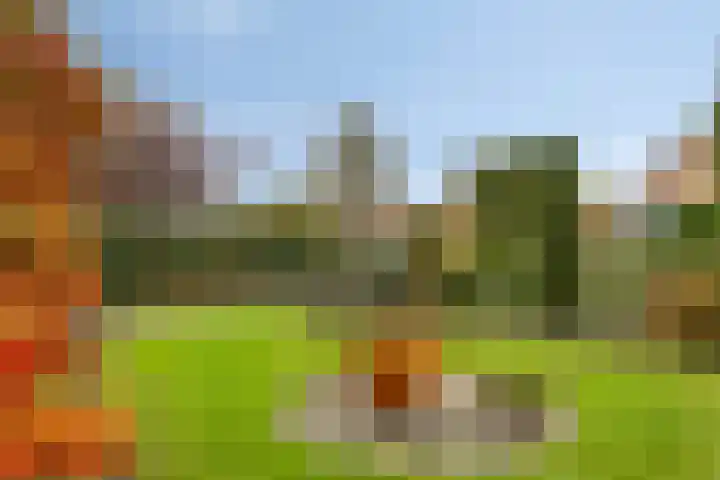 Waldhoornlaan 29 Etten-Leur thumbnail 43