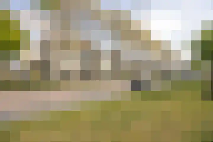 Waldhoornlaan 33 C Etten-Leur thumbnail 5