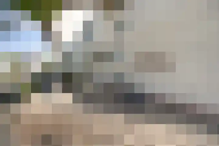 Waldhoornlaan 33 C Etten-Leur thumbnail 6