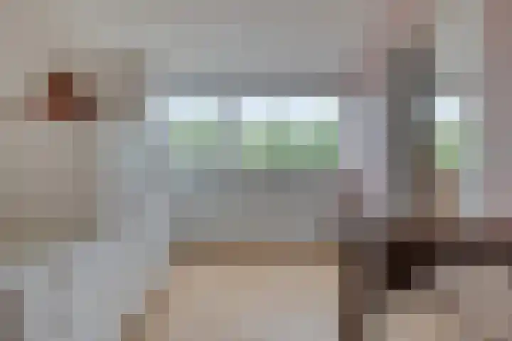 Waldhoornlaan 36 Etten-Leur thumbnail 30