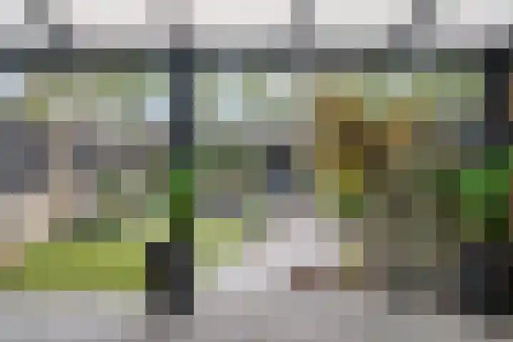 Waldhoornlaan 36 Etten-Leur thumbnail 34