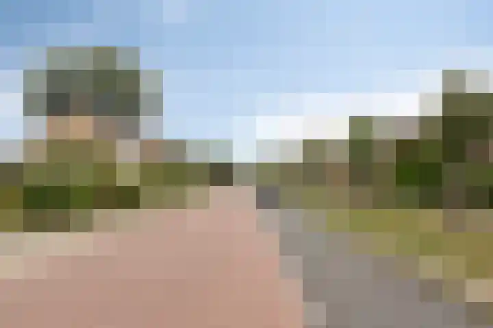 Waldhoornlaan 36 Etten-Leur thumbnail 38