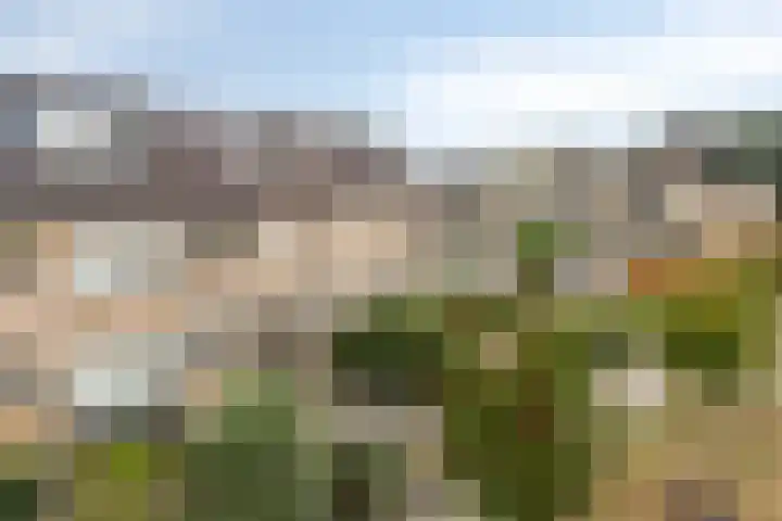 Waldhoornlaan 36 Etten-Leur thumbnail 44