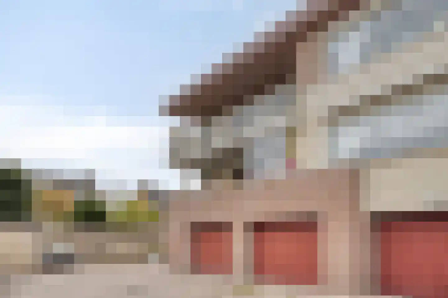 Waldhoornlaan 39 C Etten-Leur thumbnail 34