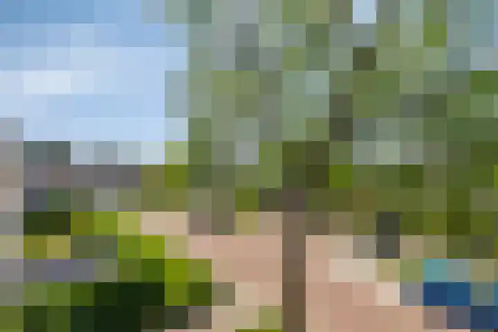 Waldhoornlaan 41 E Etten-Leur thumbnail 16