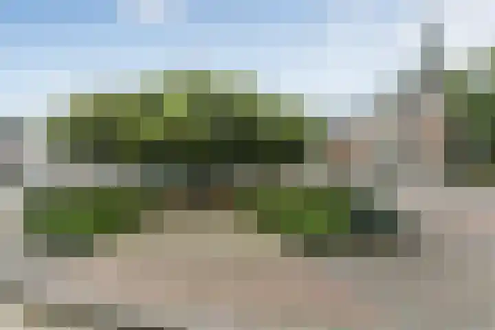 Waldhoornlaan 41 E Etten-Leur thumbnail 31