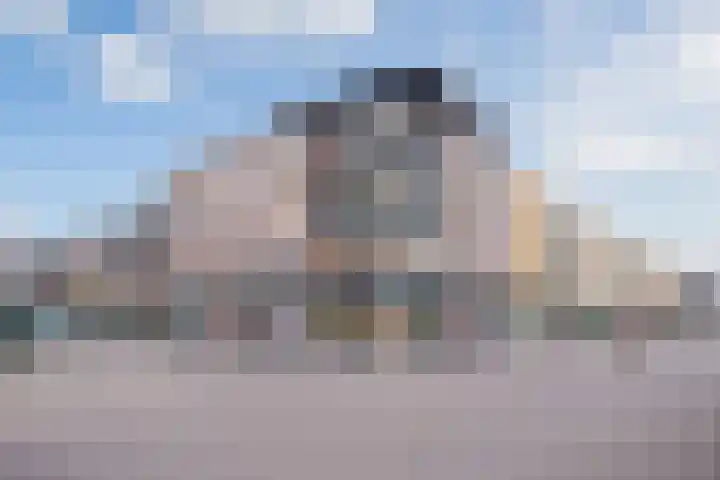Waldhoornlaan 41 E Etten-Leur thumbnail 33
