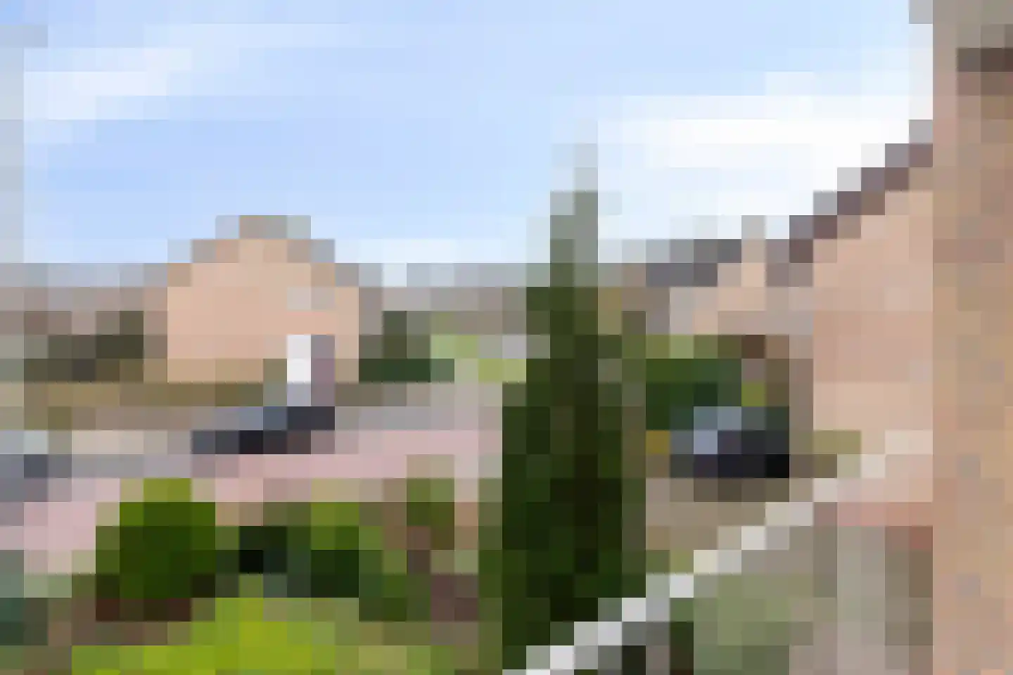 Waldhoornlaan 67 Etten-Leur thumbnail 21