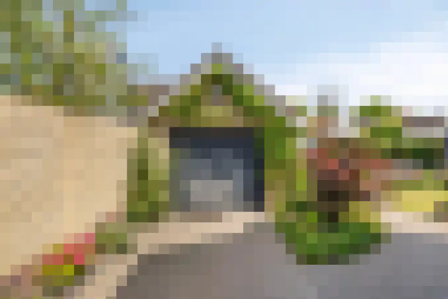 Waldhoornlaan 67 Etten-Leur thumbnail 43