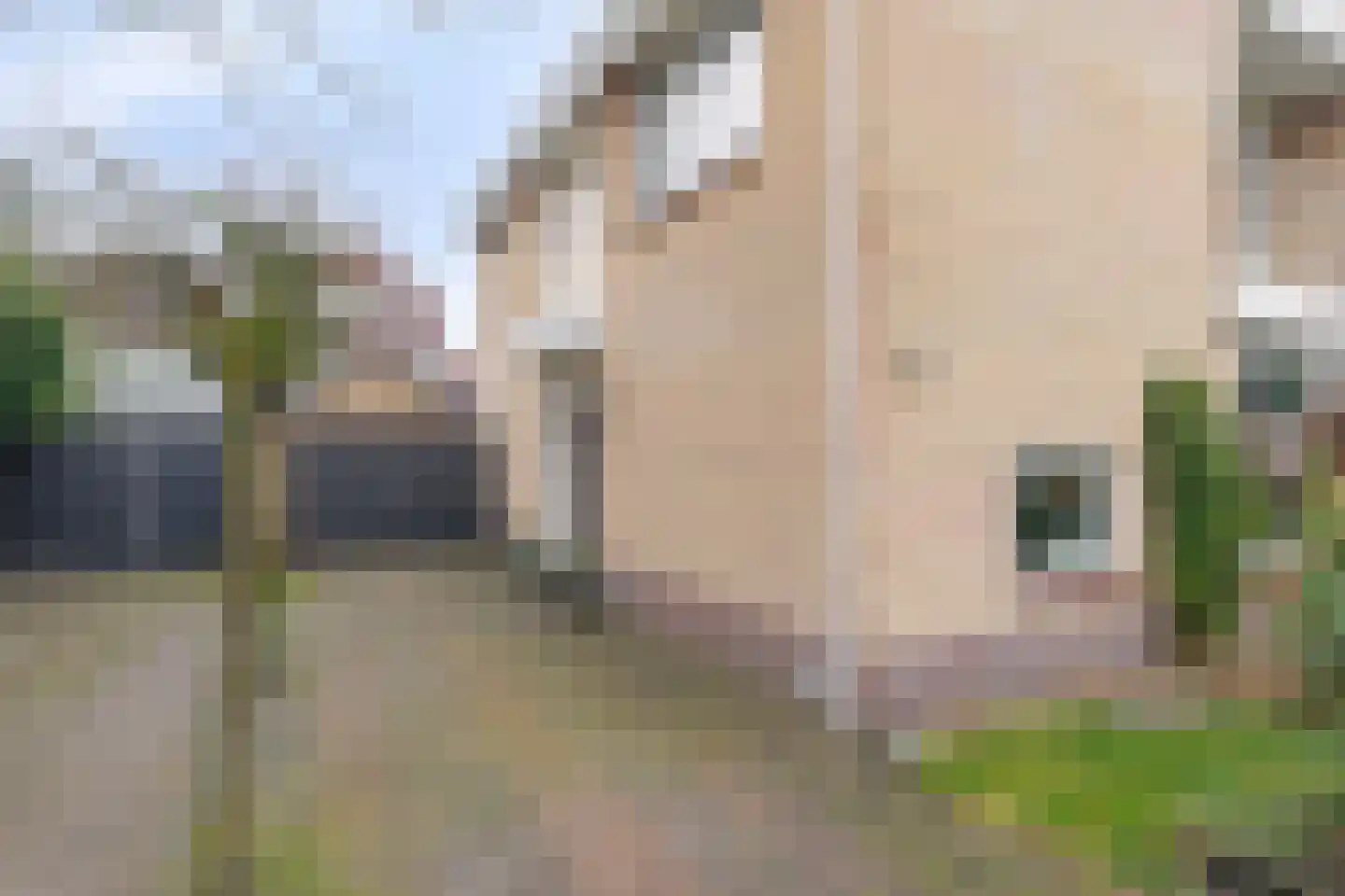 Waldhoornlaan 67 Etten-Leur thumbnail 6