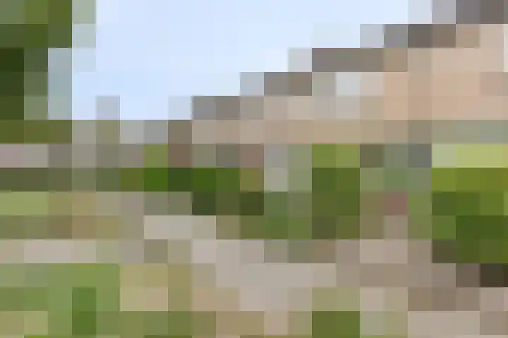 Waldhoornlaan 90 in Etten-Leur