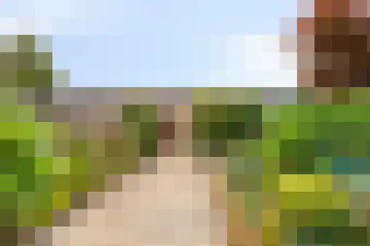 Waldhoornlaan 90 Etten-Leur thumbnail 33