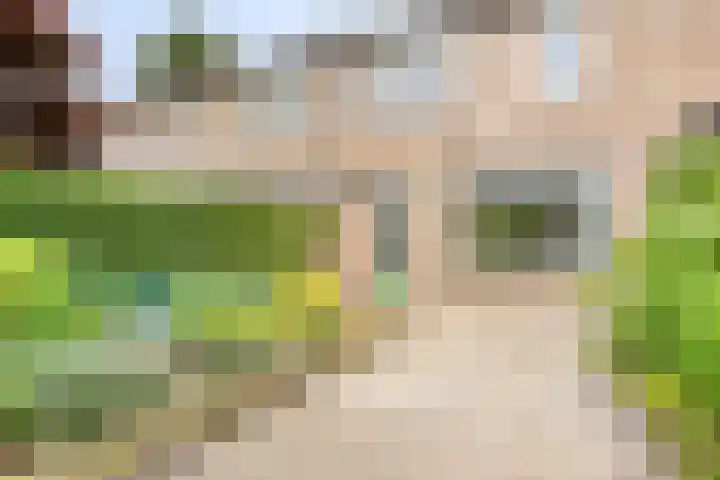 Waldhoornlaan 90 Etten-Leur thumbnail 34