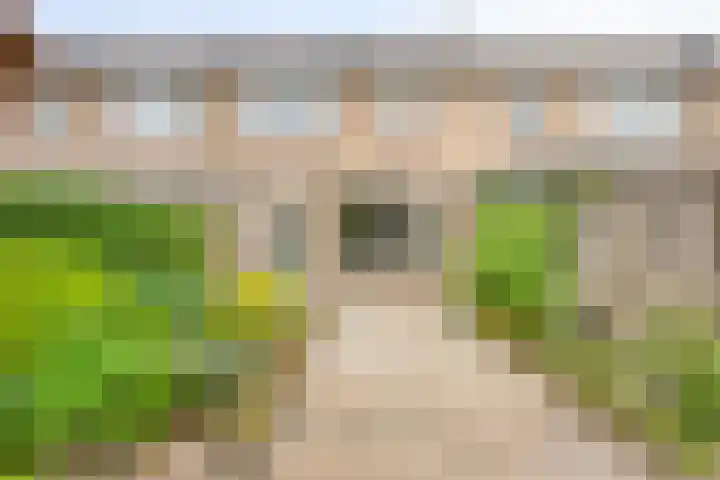 Waldhoornlaan 90 Etten-Leur thumbnail 35
