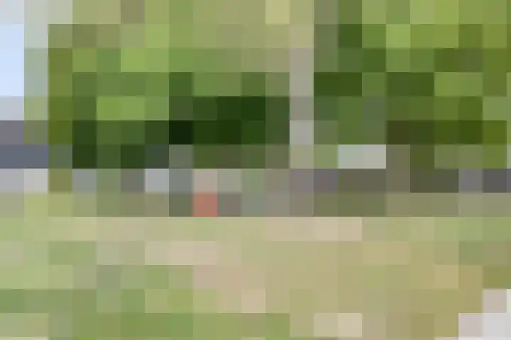 Waldhoornlaan 90 Etten-Leur thumbnail 37