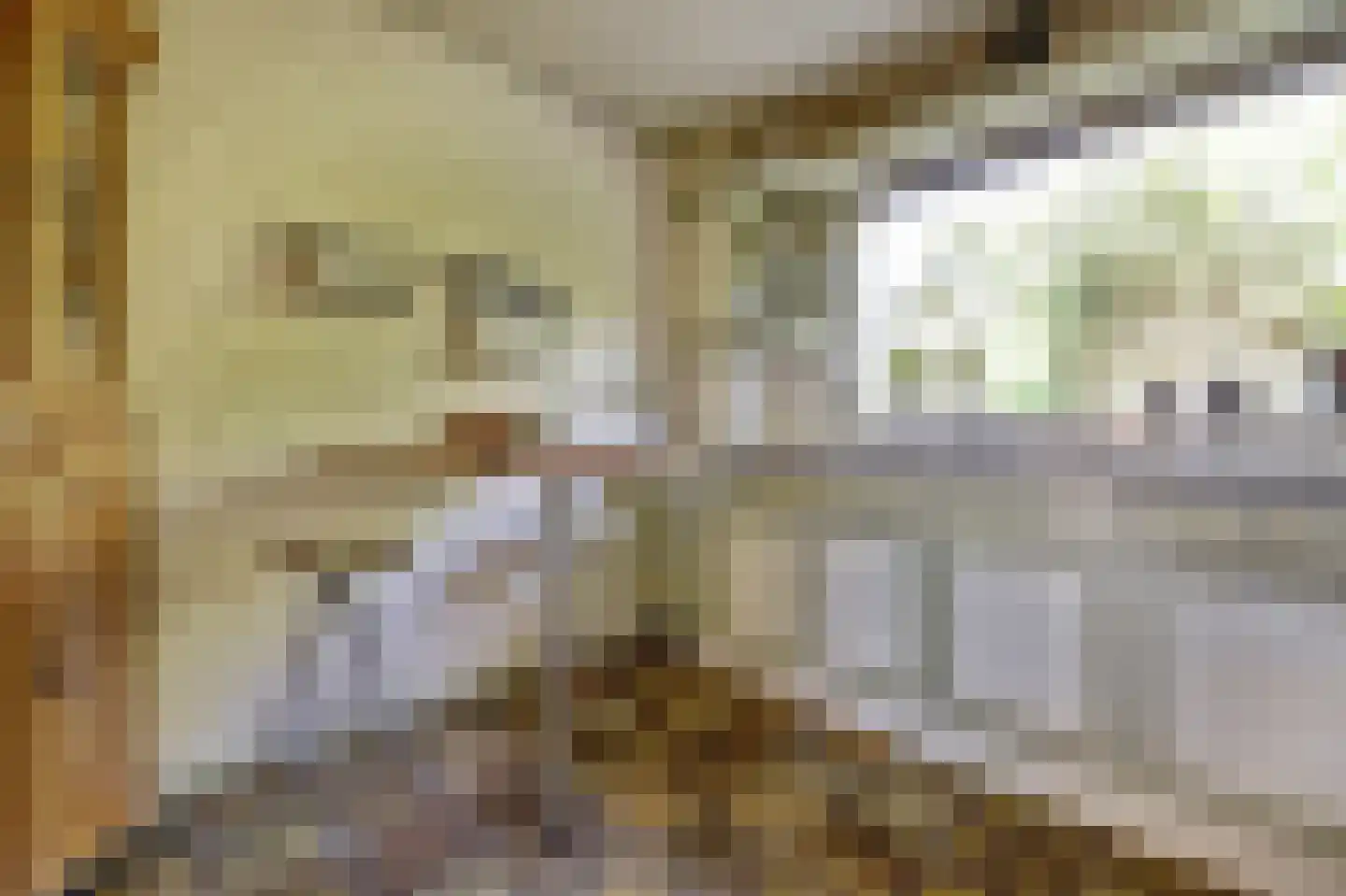 Waldhoornstraat 65 Spijkenisse thumbnail 14