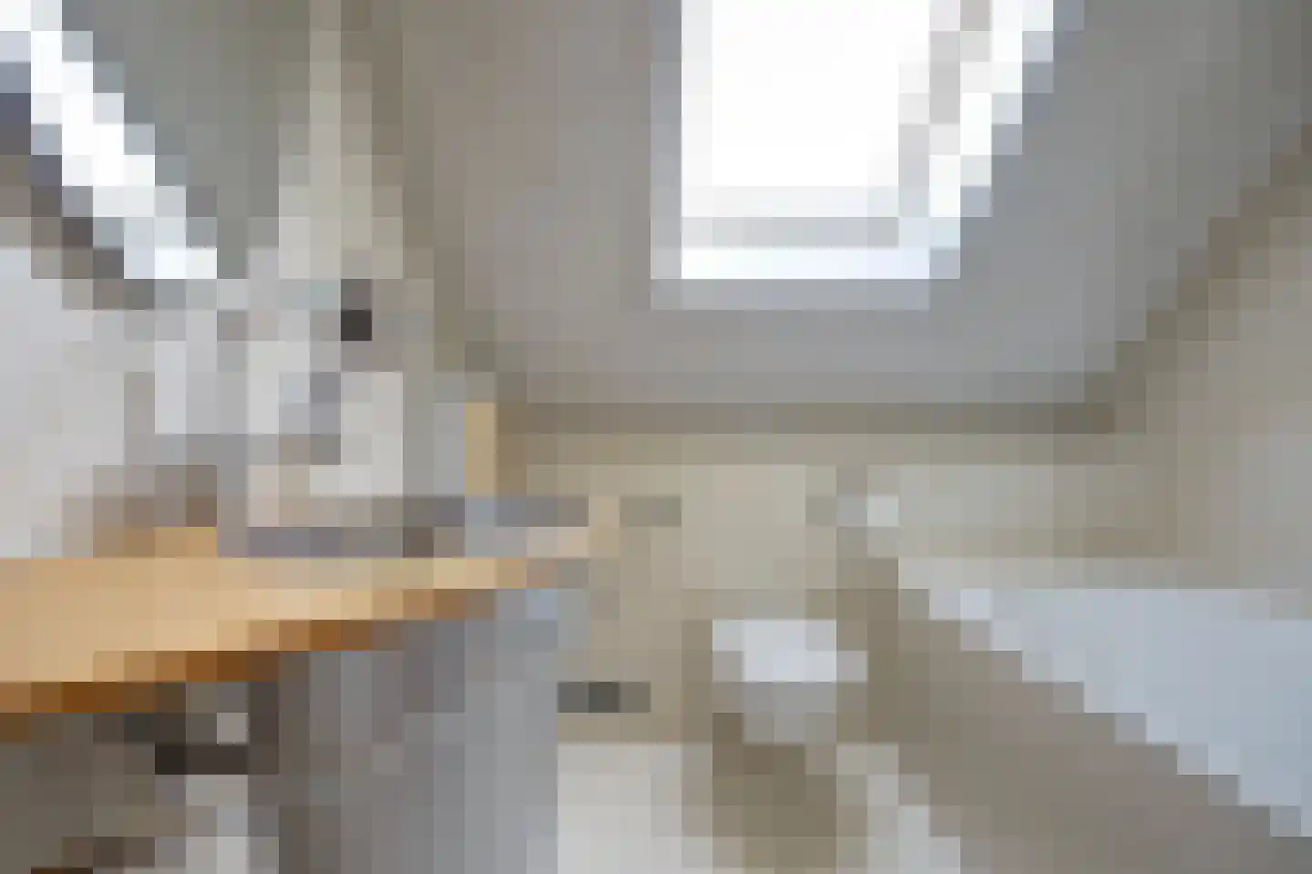 Waldhoornstraat 65 Spijkenisse thumbnail 20