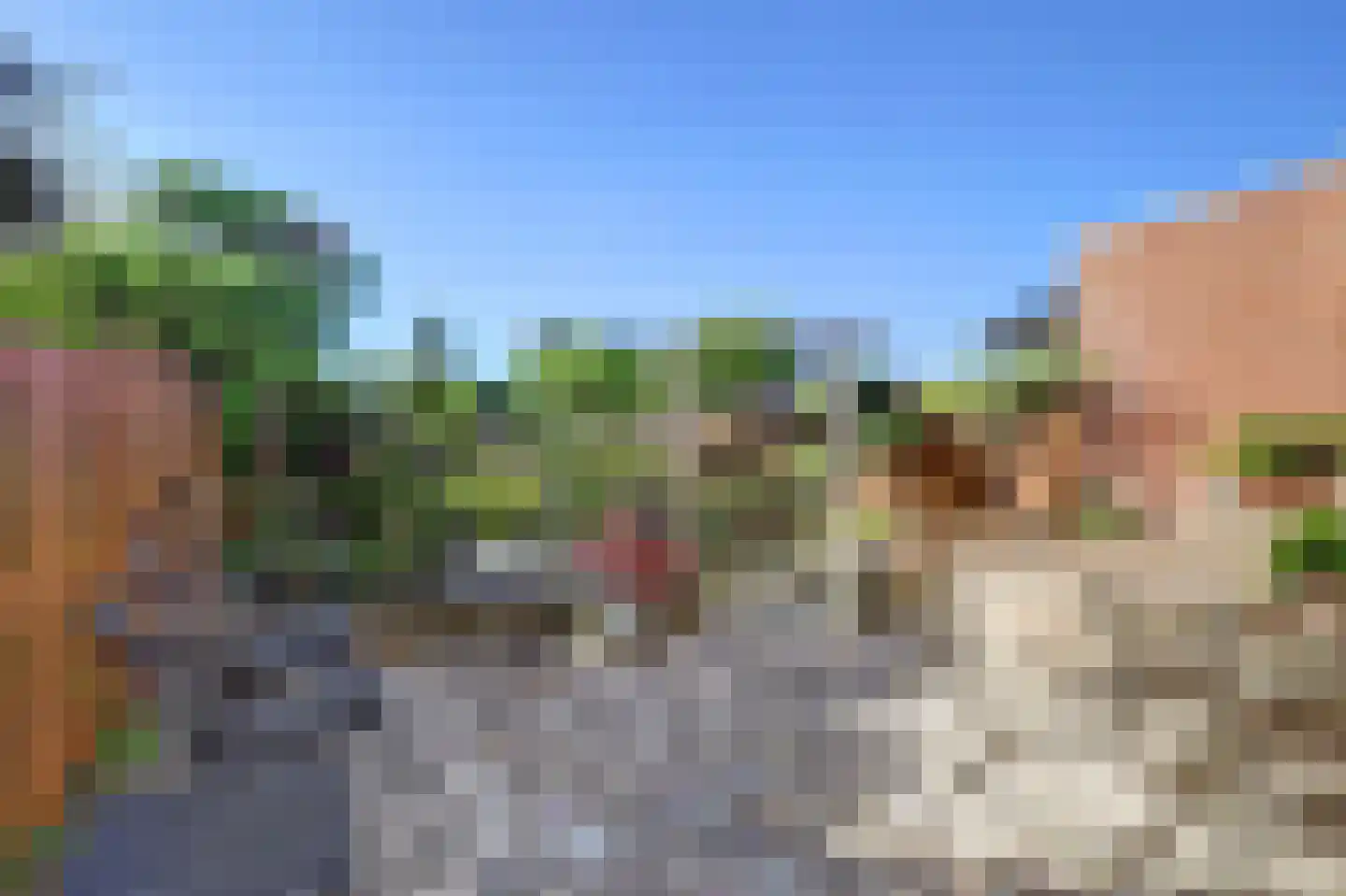 Waldhoornstraat 65 Spijkenisse thumbnail 33