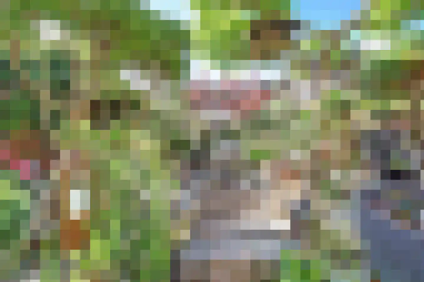 Waldhoornstraat 65 Spijkenisse thumbnail 34