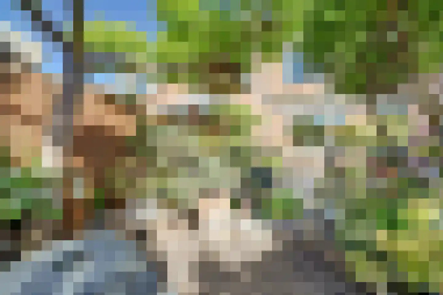 Waldhoornstraat 65 Spijkenisse thumbnail 35