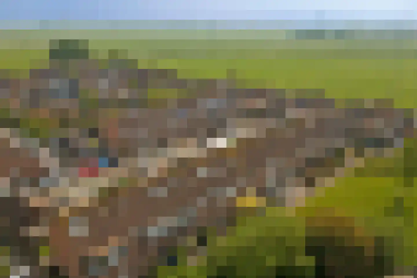 Waldhoornstraat 65 Spijkenisse thumbnail 38