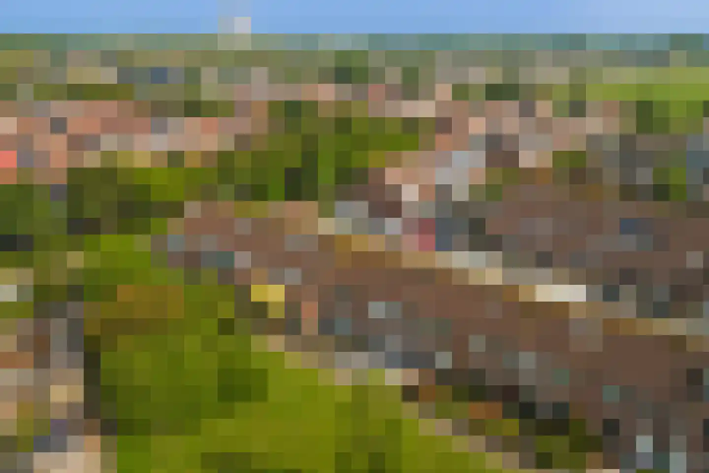 Waldhoornstraat 65 Spijkenisse thumbnail 39