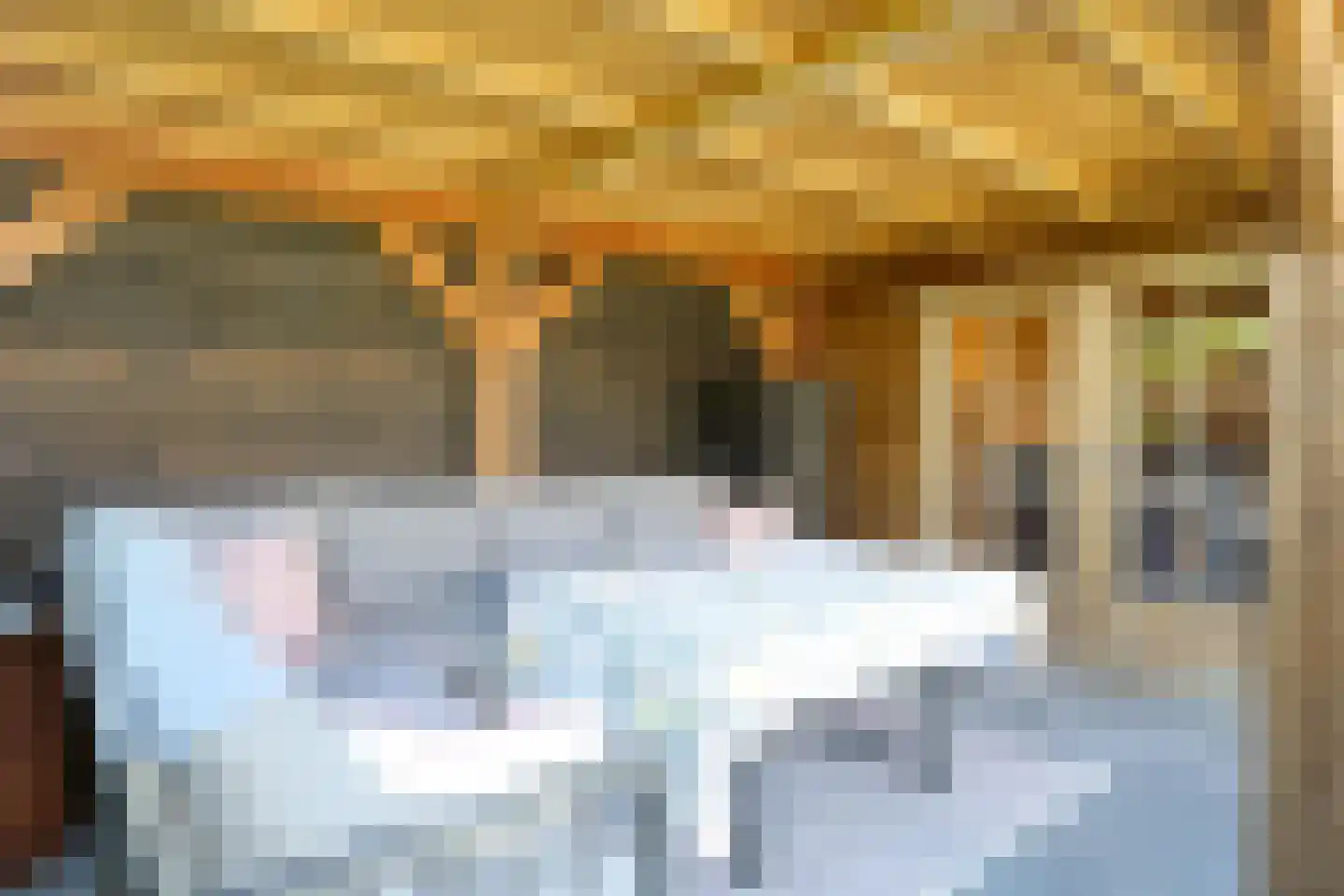Wâldstrjitte 21 Houtigehage thumbnail 28
