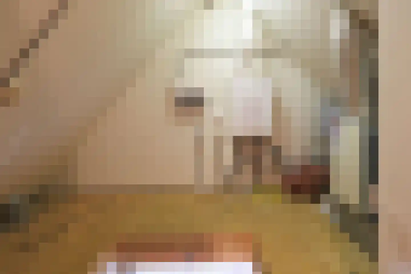Wâldstrjitte 21 Houtigehage thumbnail 40