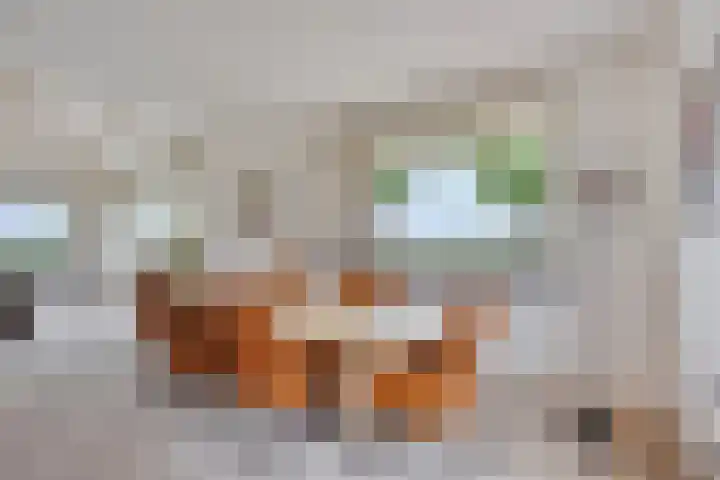 Walem 35 Walem thumbnail 10