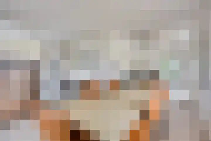 Walem 35 Walem thumbnail 11