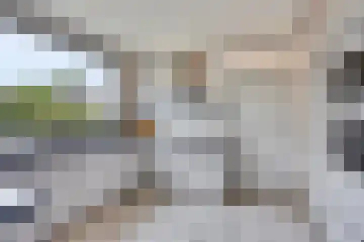 Walem 35 Walem thumbnail 12