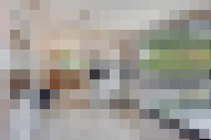 Walem 35 Walem thumbnail 13