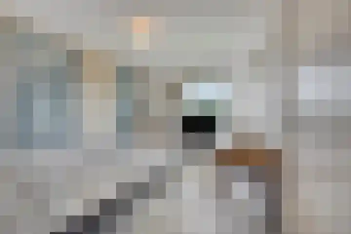 Walem 35 Walem thumbnail 14