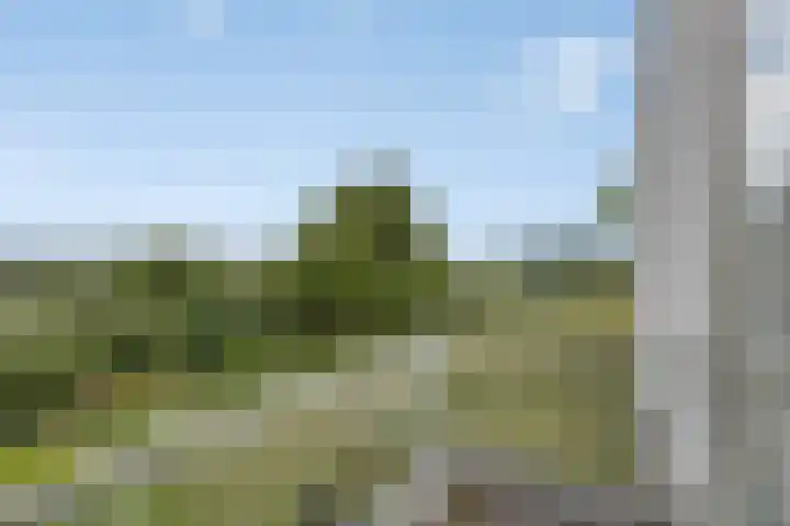 Walem 35 Walem thumbnail 16