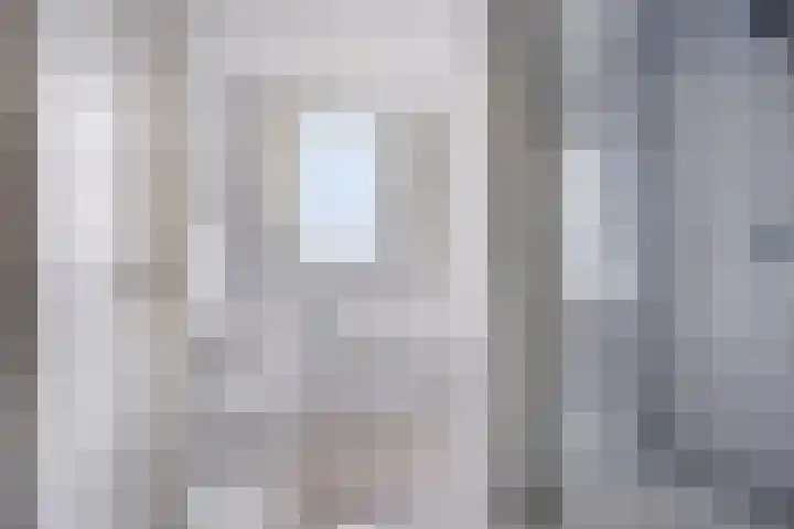 Walem 35 Walem thumbnail 17