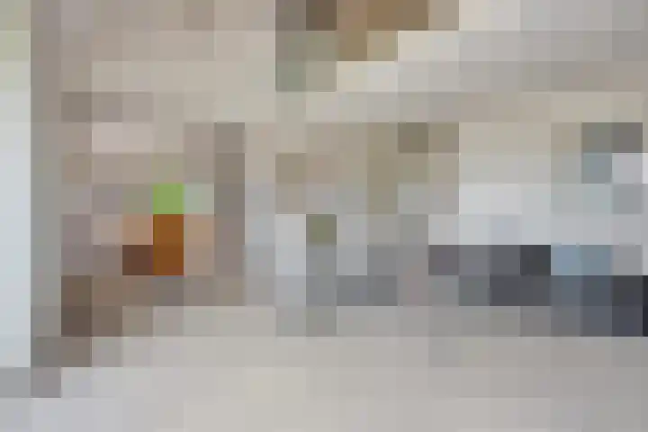 Walem 35 Walem foto 2