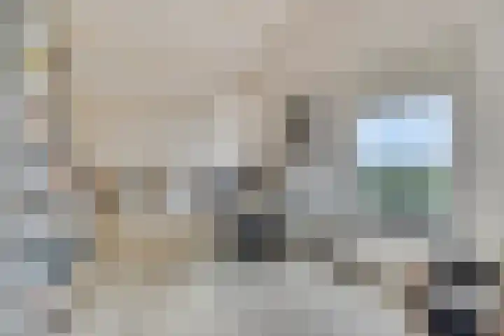 Walem 35 Walem thumbnail 20