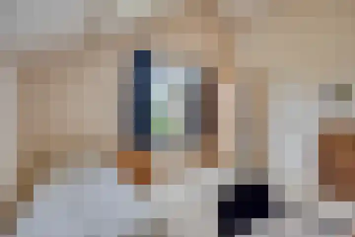 Walem 35 Walem thumbnail 21