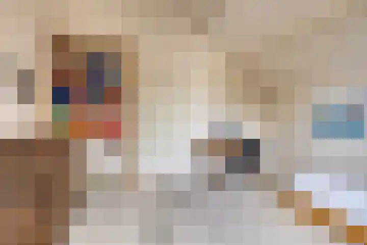 Walem 35 Walem thumbnail 22