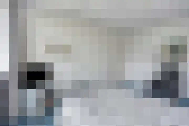 Walem 35 Walem thumbnail 33