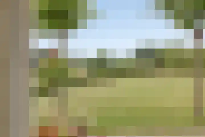 Walem 35 Walem thumbnail 36