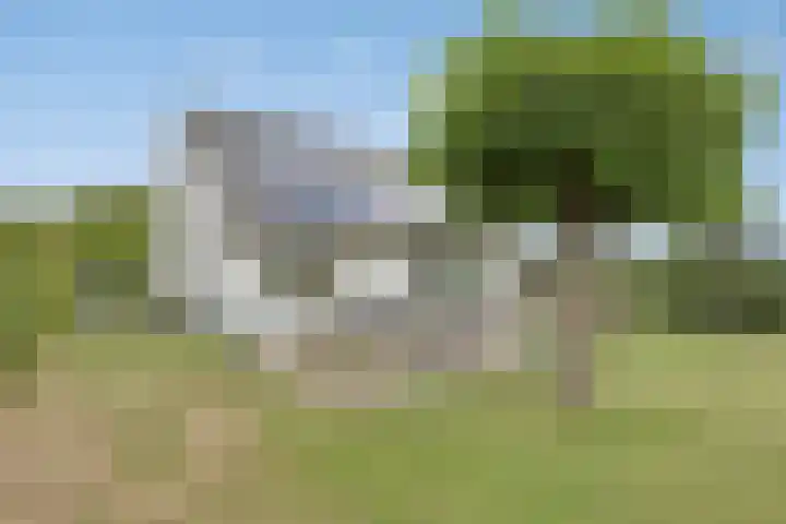 Walem 35 Walem thumbnail 37