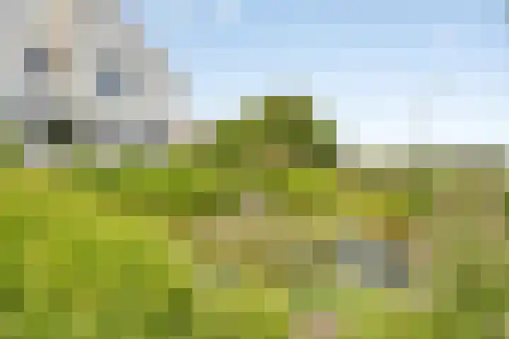 Walem 35 Walem thumbnail 41